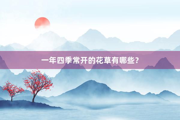 一年四季常开的花草有哪些？